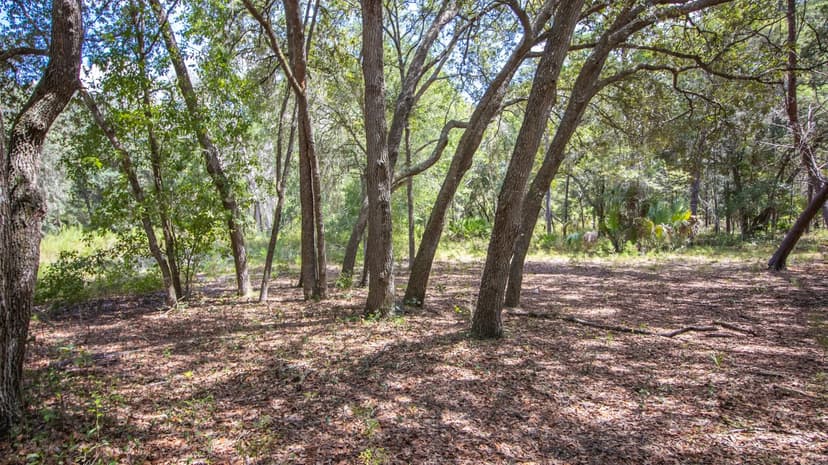 Gorgeous 20 Acre Proeperty {A-741}