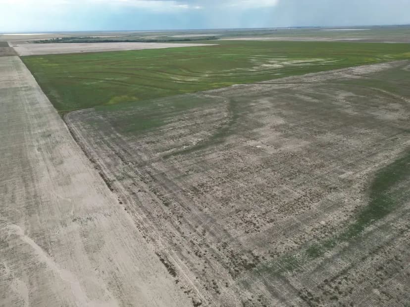 160 Acre Dry Land Farm (East)