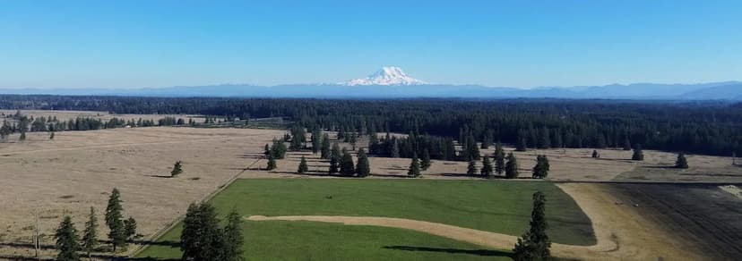 Silver Springs Cattle Ranch