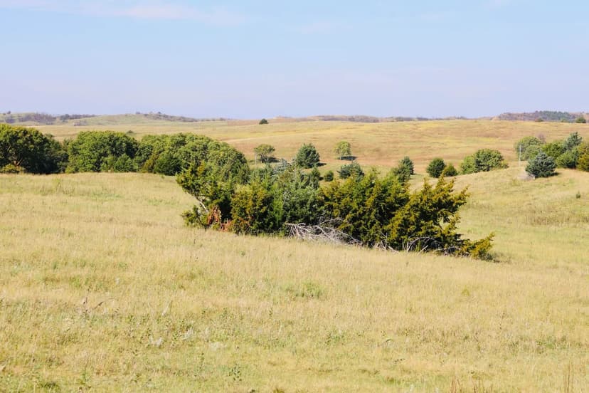 Neth’s Canyon View Getaway