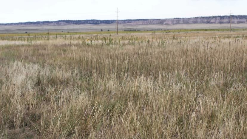 Banner County Grass Tract