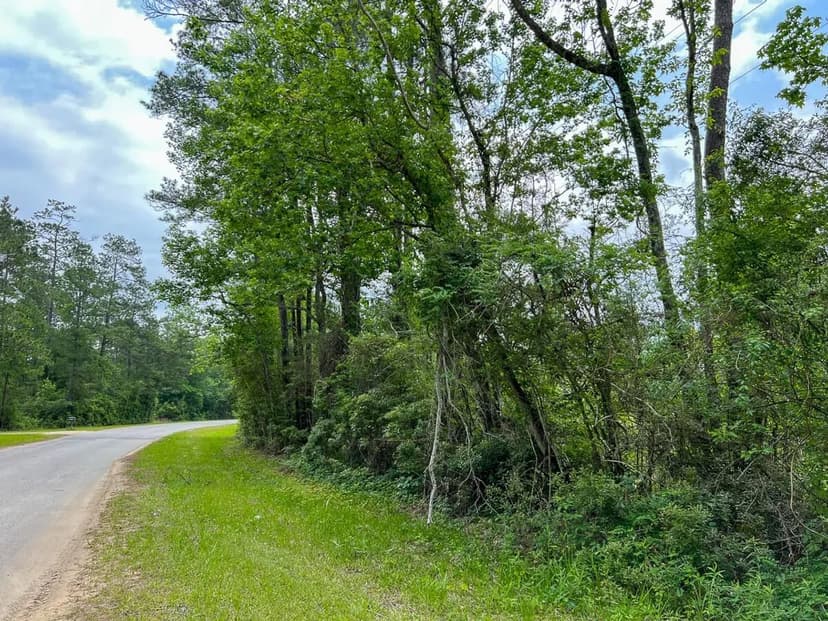 37 Acres | FM 2937 | C-2 | Silsbee Stake