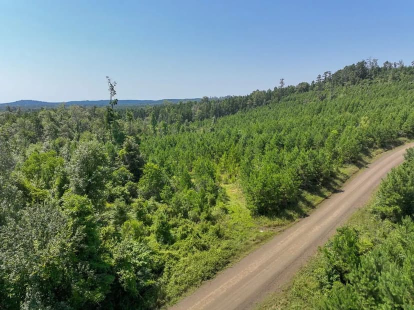 29 Acres | T-1 | Carters Ferry Road | 1007