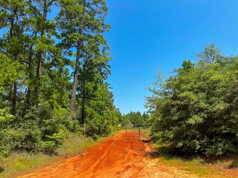 33 Acres | T-1 | Carters Ferry Road | 1008