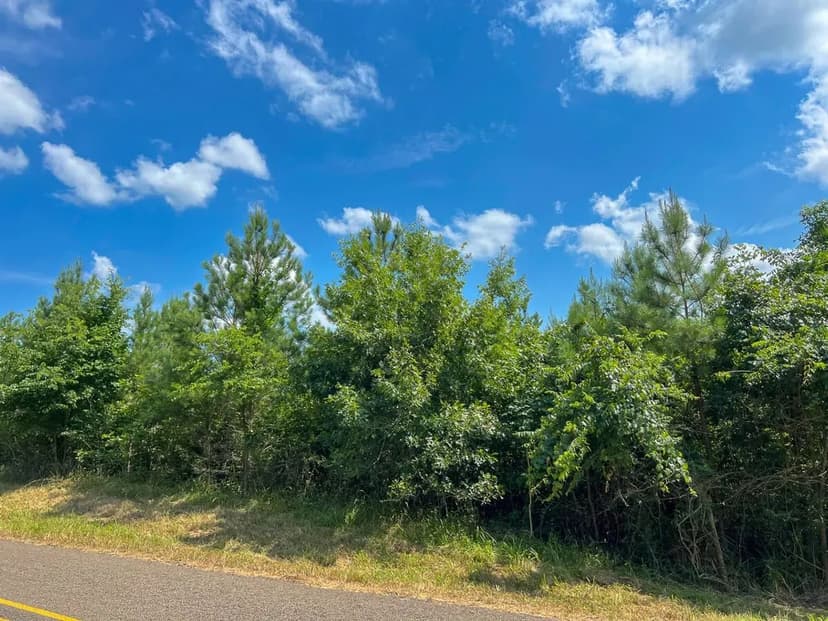 5 Acres | T-1 | State Road 35 | 1018
