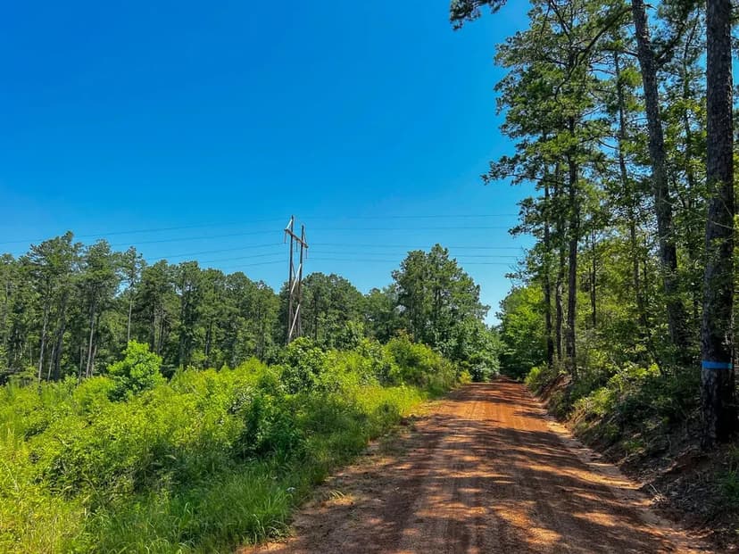 10 Acres | T-4 | Carters Ferry Road | 1008