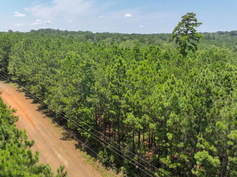 2 Acres | T-6 | Bayou Road | 1023