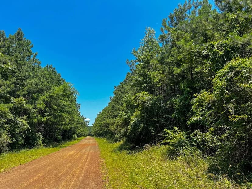 12 Acres | T-7 | Bayou Road | 1023
