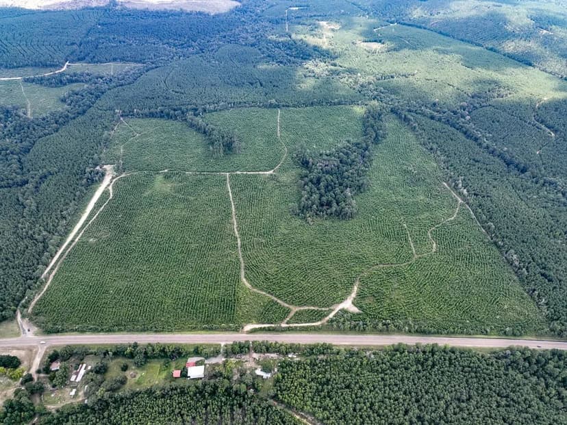 16 Acres | T-4 | County Road 235 | 287007