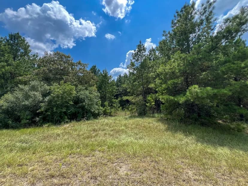 18 Acres | T-6 | Rec Road 255 | 287008-009