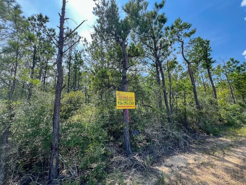 44 Acres | T-1 | Highway 96 | 287053