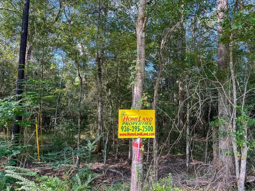 10 Acres | T-6 | FM 1013 & CR 517 | 287052