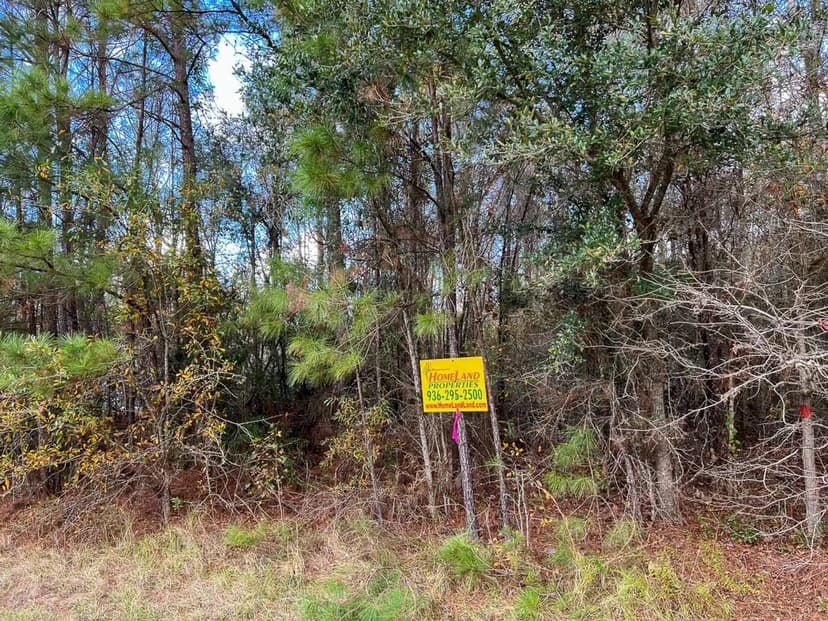23 Acres | FM 2460