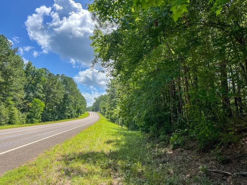 125 Acres | T-3 | Highway 63 | 287010-011