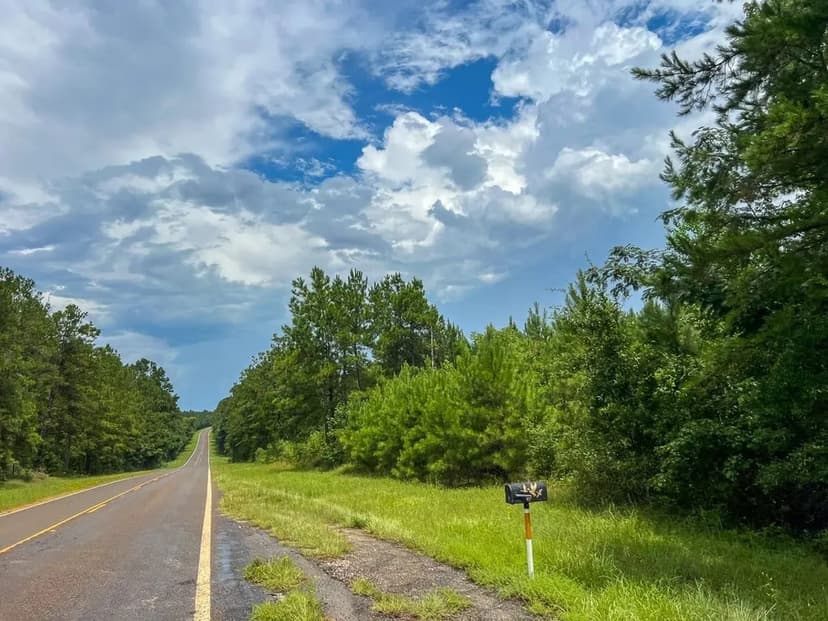 73 Acres | FM 2939 | 287056