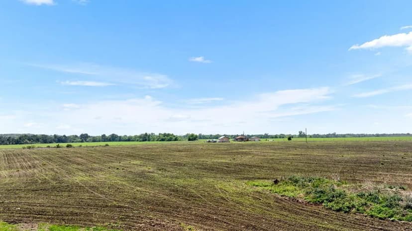 Harvest Haven in Taylor