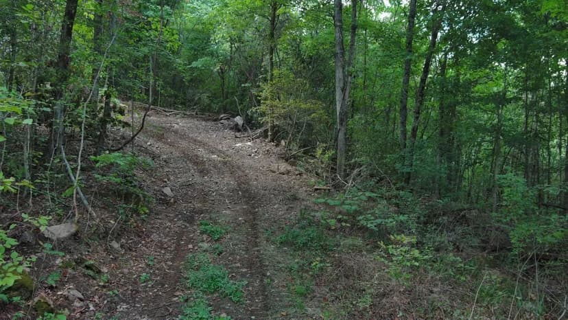 Beautiful Newton County Acreage - 97.5 acres