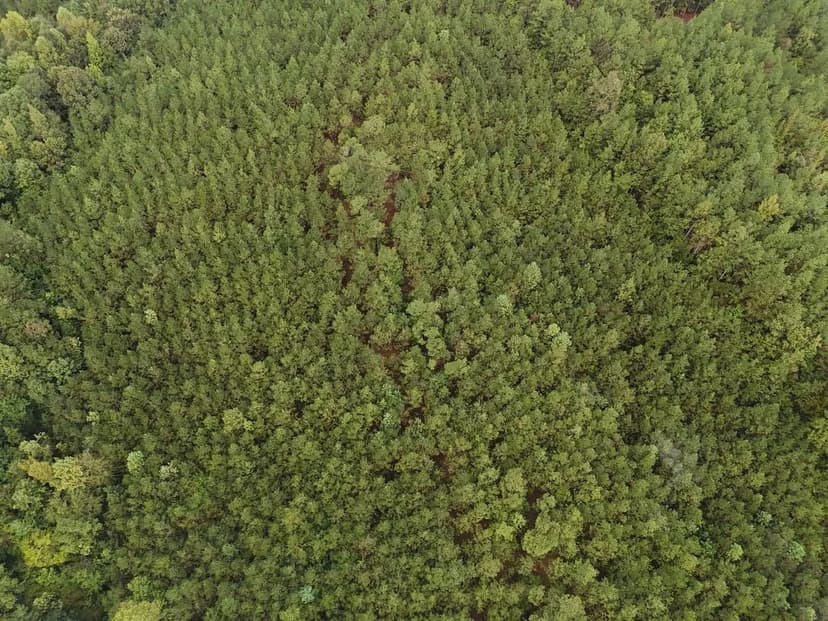 Scott Senter Road (30 acres)