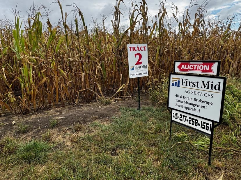 The Spencer Farmland Auction | 153.959 +/- Acres | Coles County, IL
