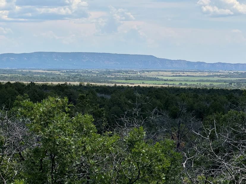 36.3 Acres of Mountain Land for Sale in Hesperus, CO