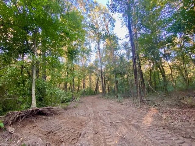 64 Acres on Quinlivan Rd | Magnolia, MS