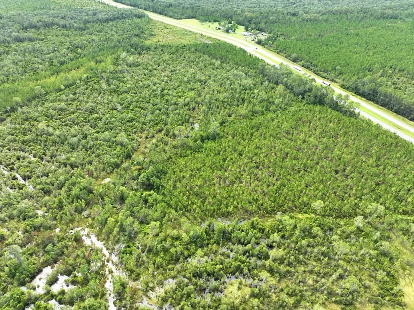 214+/- Ac Hwy 84 Willow Creek Tract in Clinch County