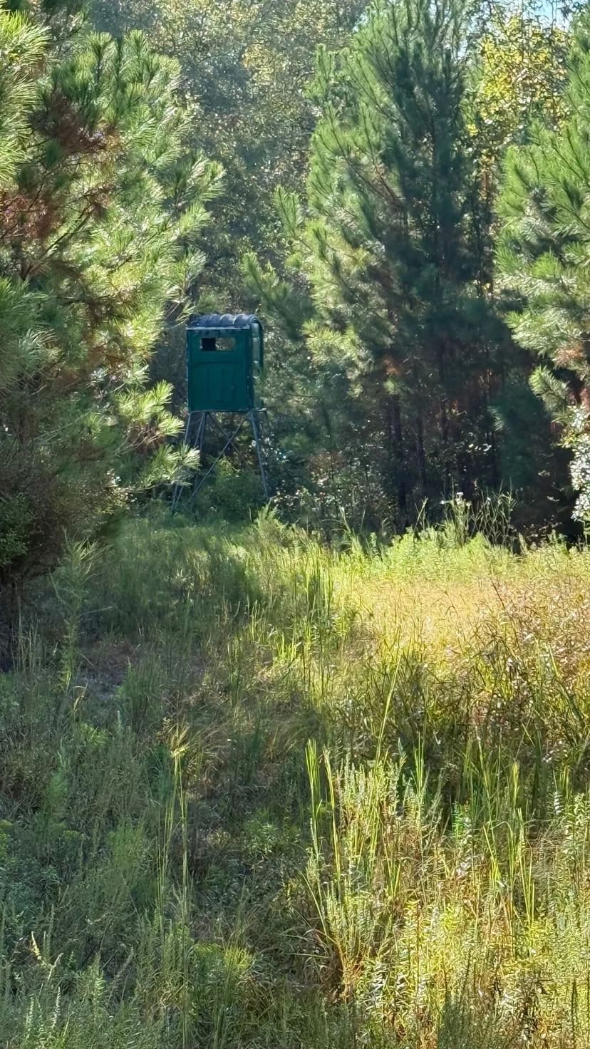101 Acres Slash Pine & Hardwood Hunting Land – Graceville, FL