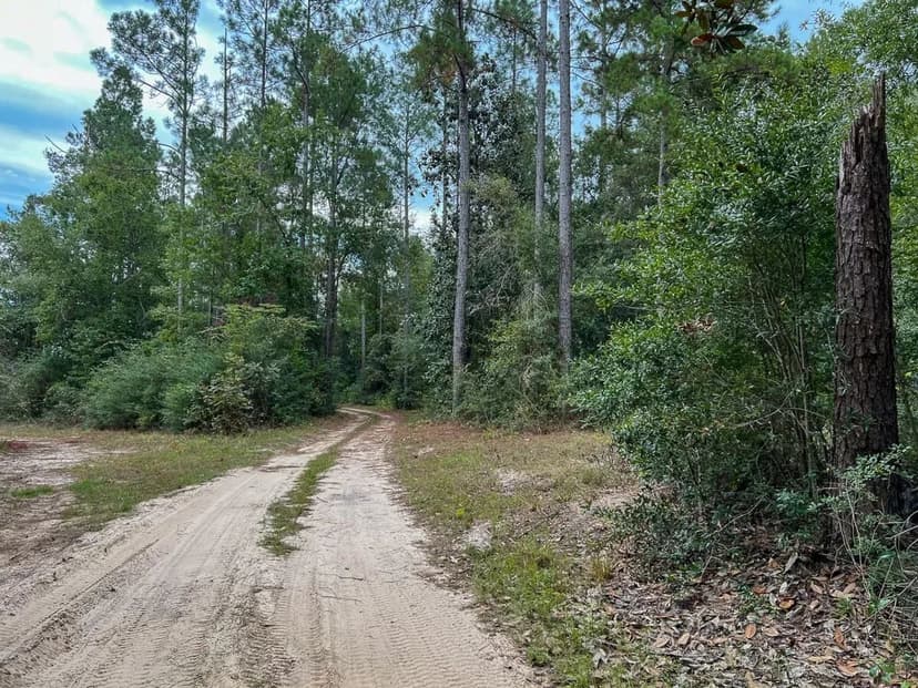 48 Acres | FM 1416