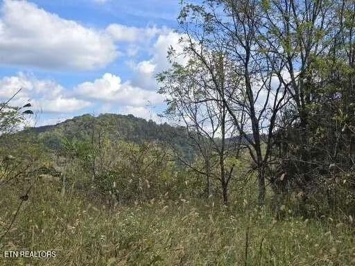 Tranquil 92 acres in Thorn Hill