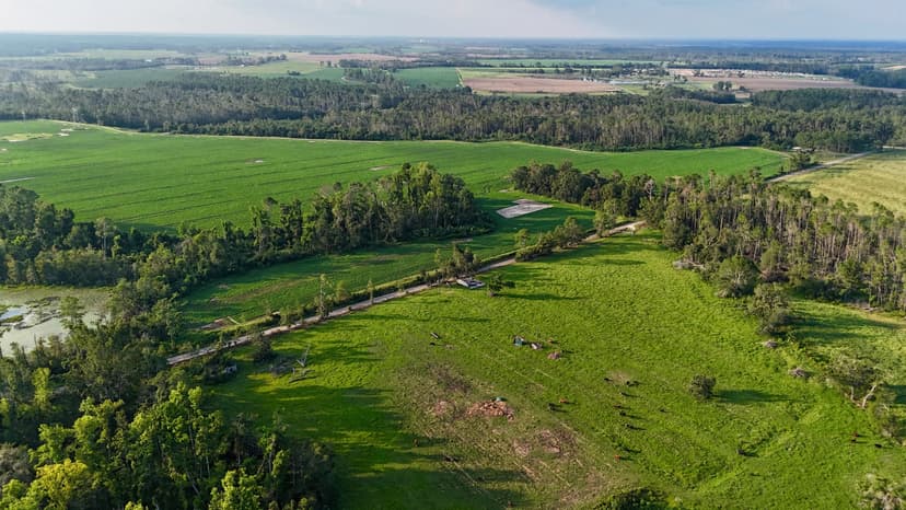 Country Escape with 20 Acres & Pond