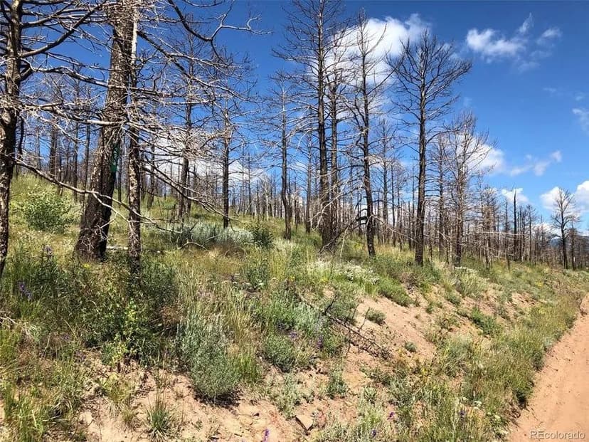 323 Wagon Mesa Loop, Ft. Garland, CO 81133