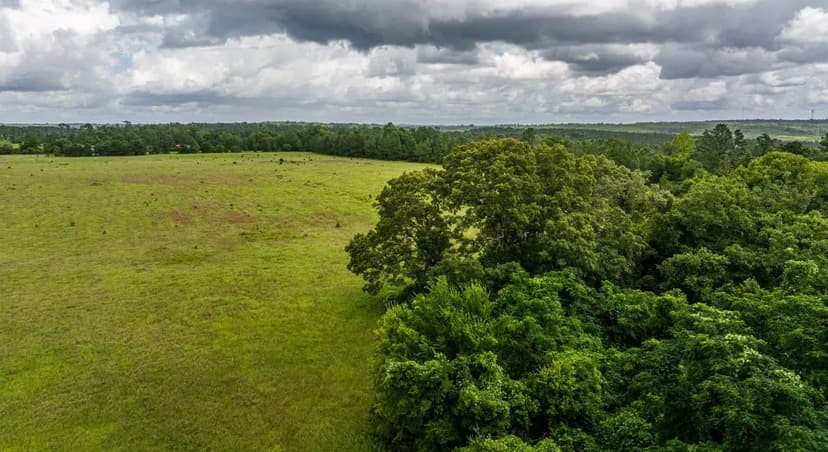 5 acre Homesite Opportunity in Deatsville (Lot 14)