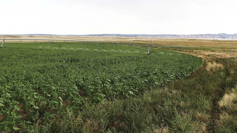 Flanagan Family Farm