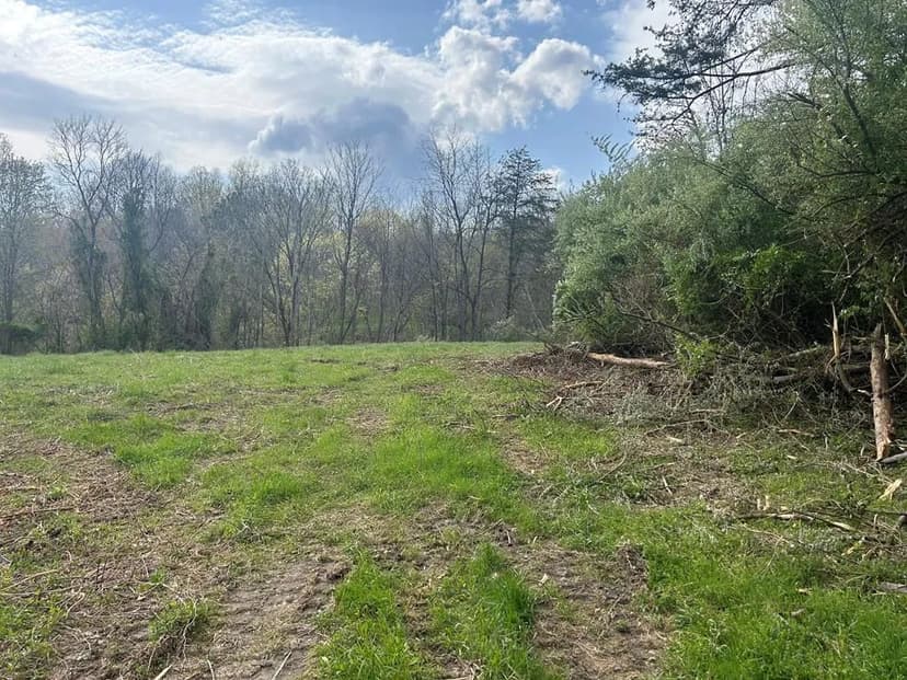 Lots & Land-Other in Flat Gap