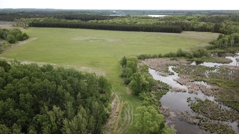 Vacant Land in Backus