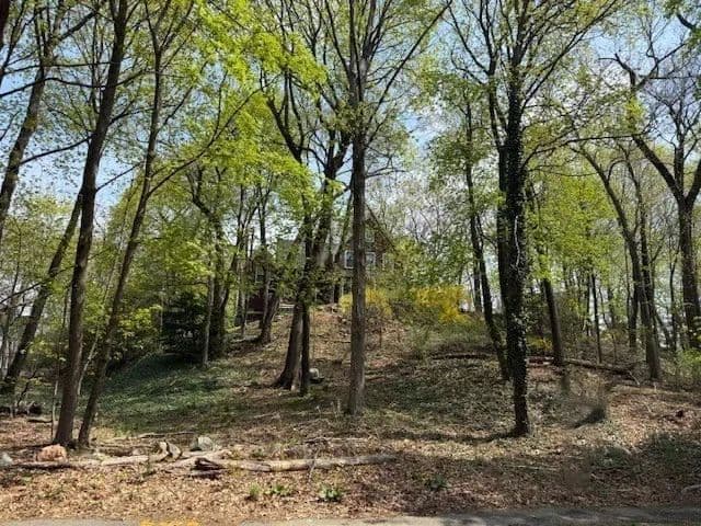 Vacant Land in Wellesley