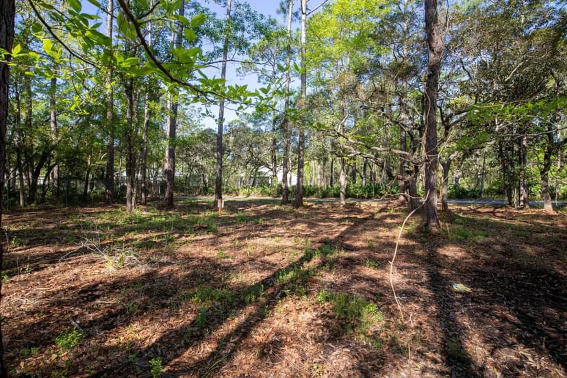 Vacant Land in Freeport
