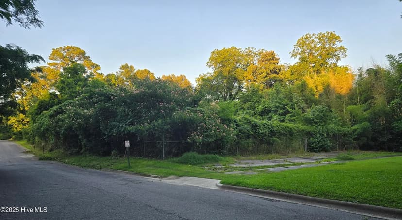 Vacant Land in Williamston