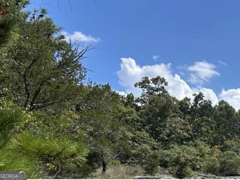 Lots & Land-Other in Conyers