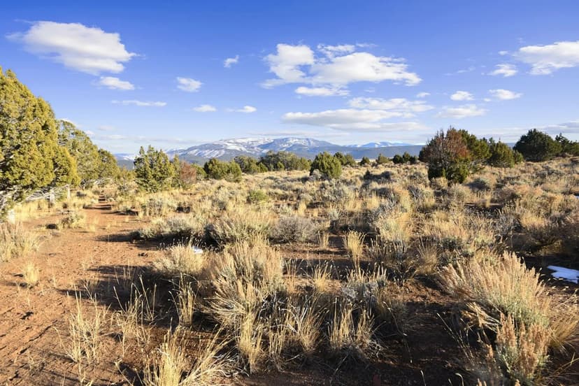 Land -Single Family Acreage in Beaver