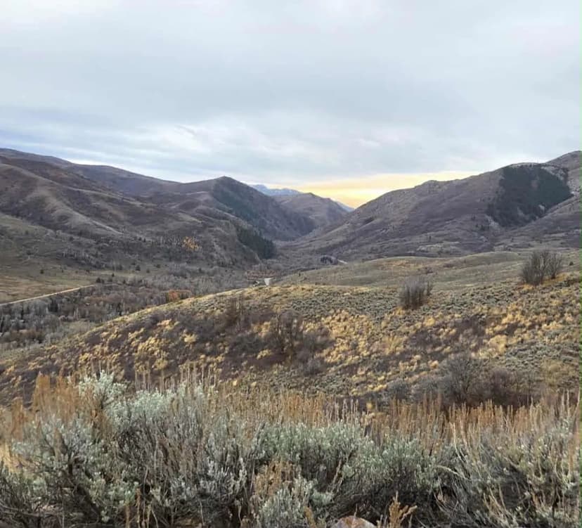 Land -Single Family Acreage in Huntsville