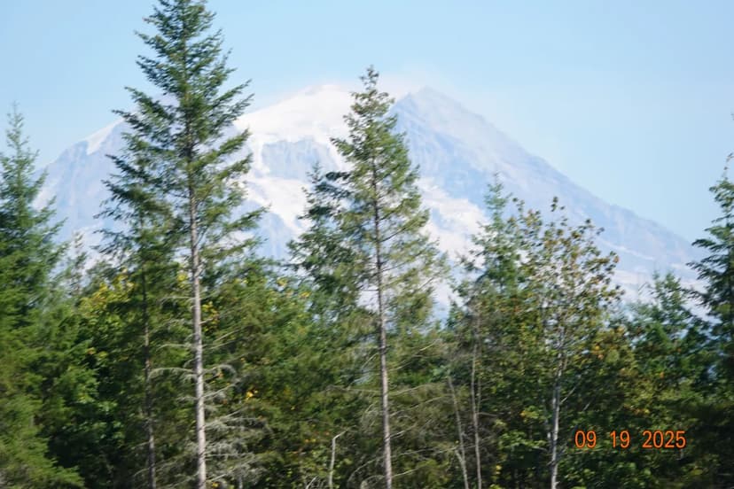 30-Acre Retreat Outside Eatonville!