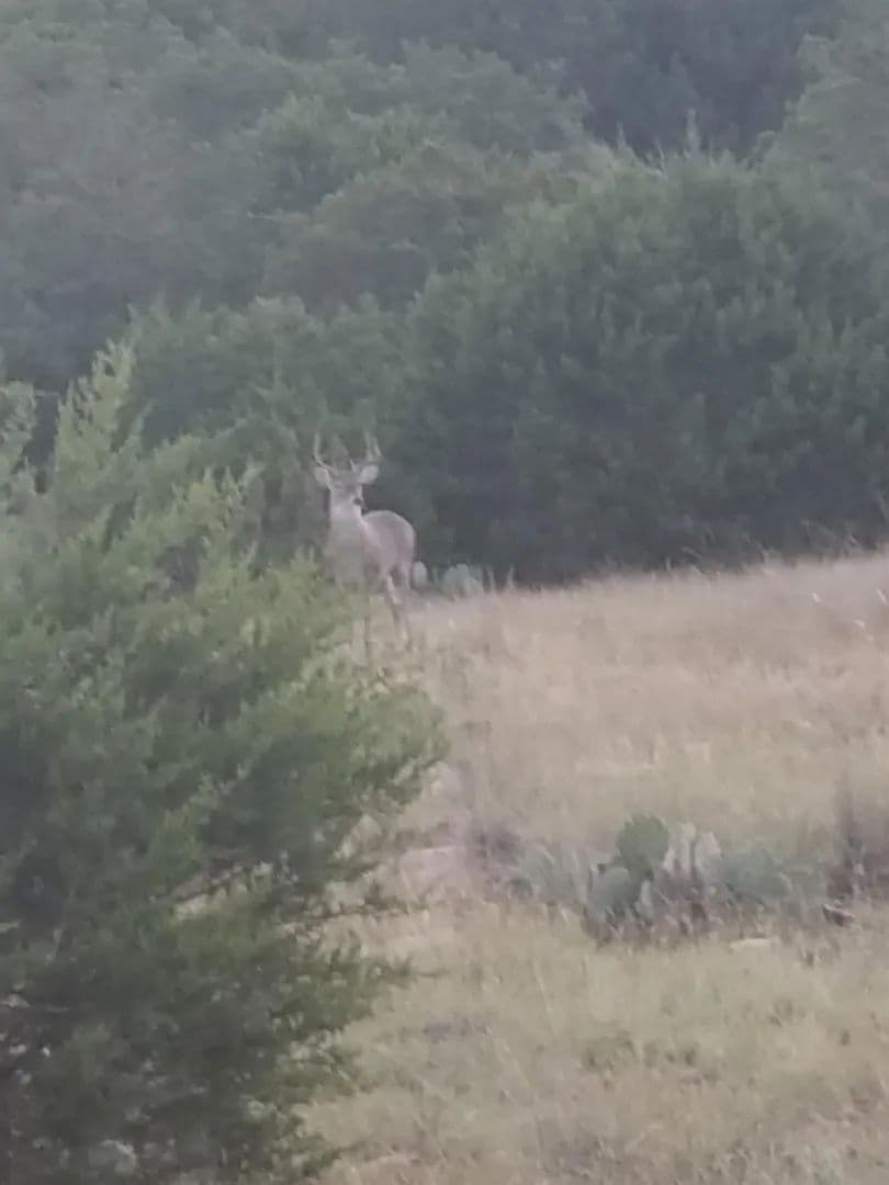 Lots & Land-Other in Rocksprings