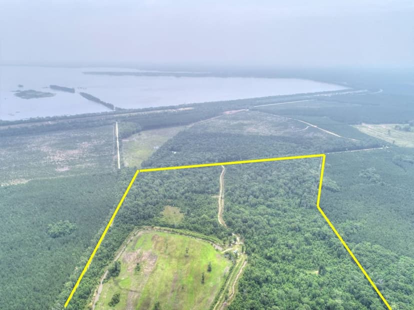 Vacant Land in Pinopolis