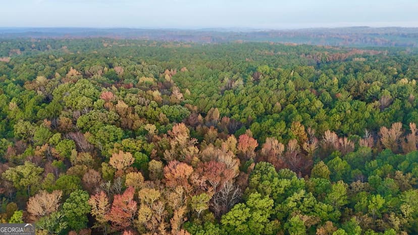 Property from 0 Dennis Creek Road - KW