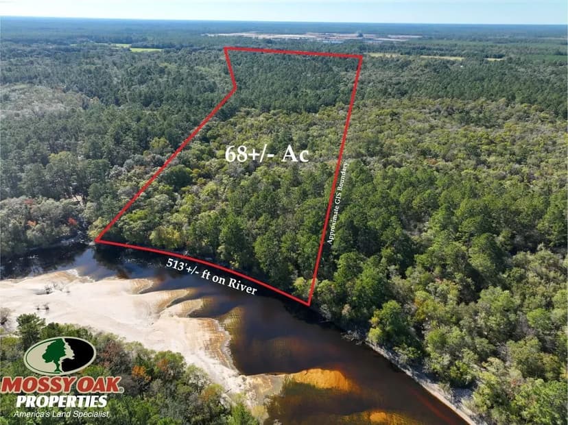 68+/- Acres on the Satilla River