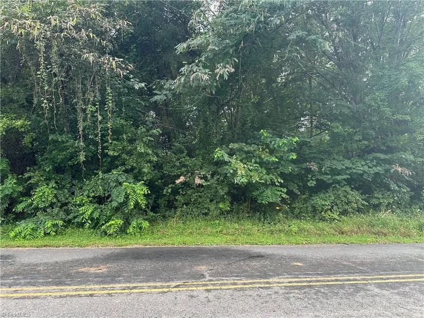 Vacant Land in Mount Airy