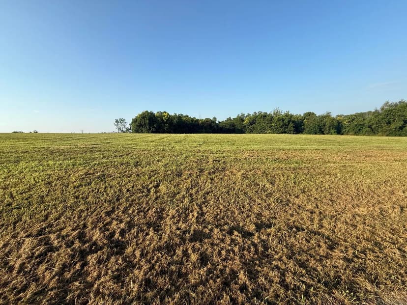 Vacant Land in Georgetown