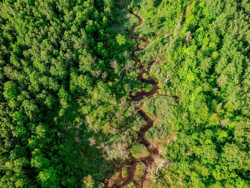 Property from 30659 Townline #Lot 4 - KW