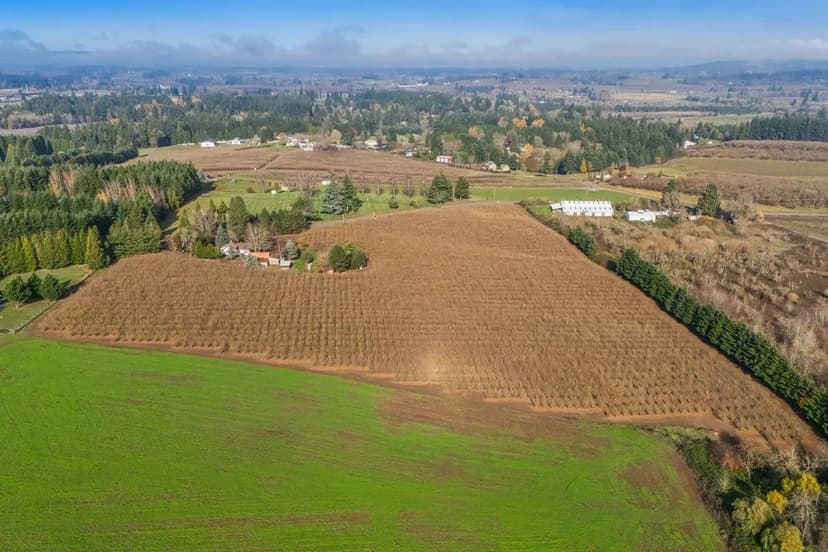 13 Acre Jefferson Hazelnut Orchard